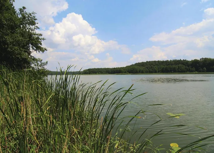 Blockhaeuser Am Faehrsee,